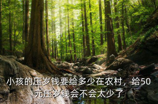 小孩的壓歲錢要給多少在農(nóng)村，給50元壓歲錢會(huì)不會(huì)太少了