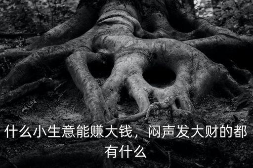 什么小生意能賺大錢，悶聲發(fā)大財(cái)?shù)亩加惺裁? class=