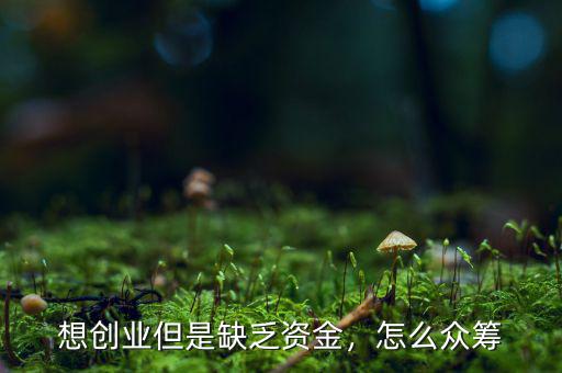 想創(chuàng)業(yè)但是缺乏資金，怎么眾籌