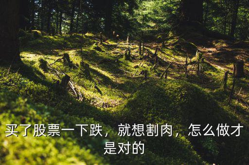 買了股票一下跌，就想割肉，怎么做才是對的