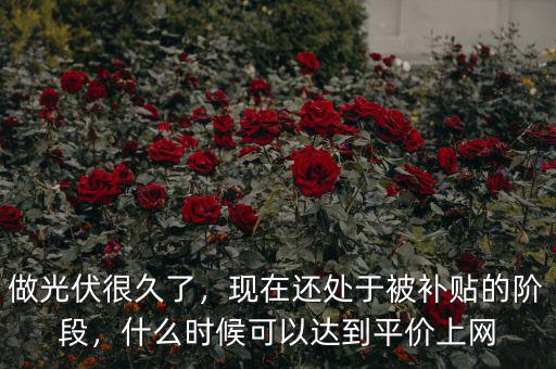 做光伏很久了，現(xiàn)在還處于被補(bǔ)貼的階段，什么時(shí)候可以達(dá)到平價(jià)上網(wǎng)