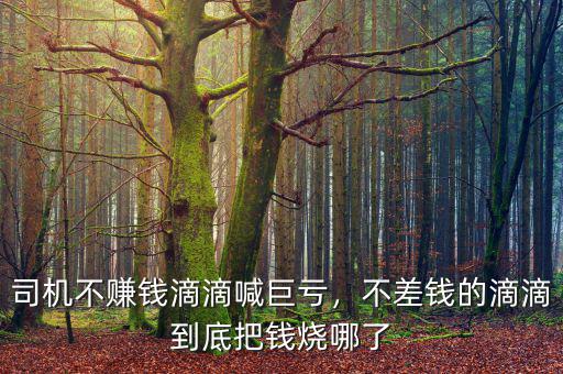 司機(jī)不賺錢滴滴喊巨虧，不差錢的滴滴到底把錢燒哪了