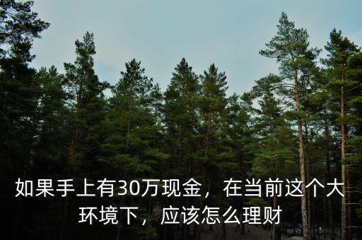 如果手上有30萬現(xiàn)金，在當前這個大環(huán)境下，應該怎么理財
