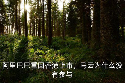 阿里巴巴重回香港上市，馬云為什么沒(méi)有參與
