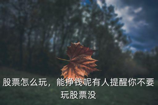 股票怎么玩，能掙錢(qián)呢有人提醒你不要玩股票沒(méi)