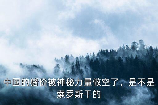 中國的豬價(jià)被神秘力量做空了，是不是索羅斯干的