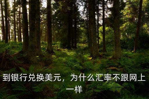 到銀行兌換美元，為什么匯率不跟網(wǎng)上一樣