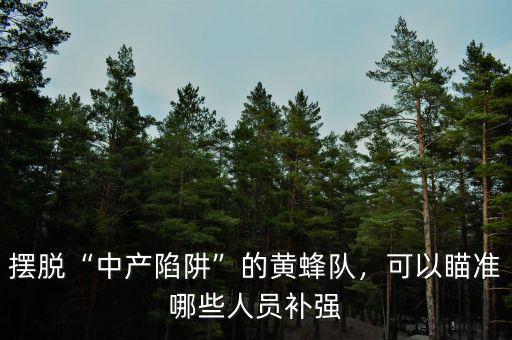 擺脫“中產(chǎn)陷阱”的黃蜂隊，可以瞄準(zhǔn)哪些人員補強