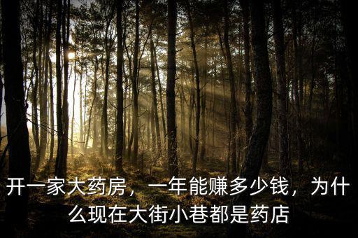 開一家大藥房，一年能賺多少錢，為什么現(xiàn)在大街小巷都是藥店