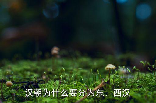 漢能為什么,為什么只有漢朝能延續(xù)兩朝