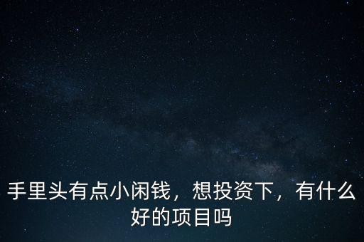 手里頭有點小閑錢，想投資下，有什么好的項目嗎
