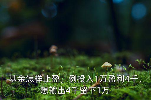基金怎樣止盈，例投入1萬盈利4千，想輸出4千留下1萬