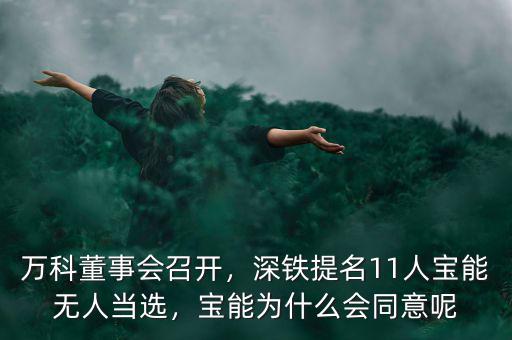 萬(wàn)科董事會(huì)召開，深鐵提名11人寶能無(wú)人當(dāng)選，寶能為什么會(huì)同意呢