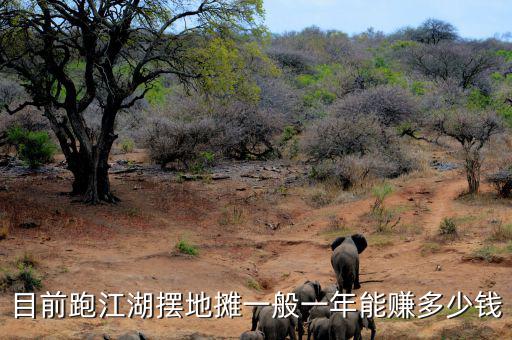 目前跑江湖擺地攤一般一年能賺多少錢