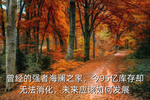 曾經(jīng)的強者海瀾之家，今95億庫存卻無法消化，未來應(yīng)該如何發(fā)展