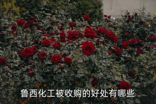 魯西化工能漲到多少,魯西化工股票還會漲嗎