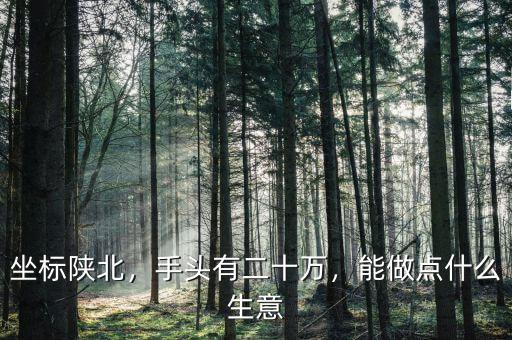 坐標(biāo)陜北，手頭有二十萬(wàn)，能做點(diǎn)什么生意