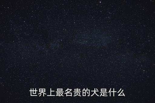 世界上最名貴的犬是什么