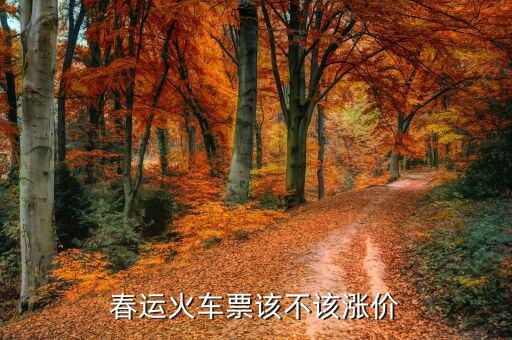 春運(yùn)火車票該不該漲價