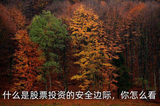 什么是股票投資的安全邊際，你怎么看