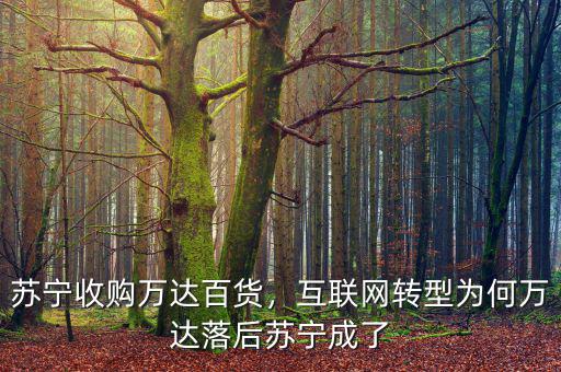 蘇寧收購(gòu)萬達(dá)百貨，互聯(lián)網(wǎng)轉(zhuǎn)型為何萬達(dá)落后蘇寧成了