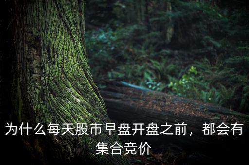 為什么每天股市早盤(pán)開(kāi)盤(pán)之前，都會(huì)有集合競(jìng)價(jià)