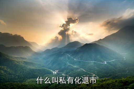 什么叫私有化退市