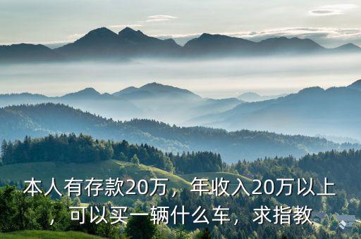 本人有存款20萬(wàn)，年收入20萬(wàn)以上，可以買(mǎi)一輛什么車，求指教