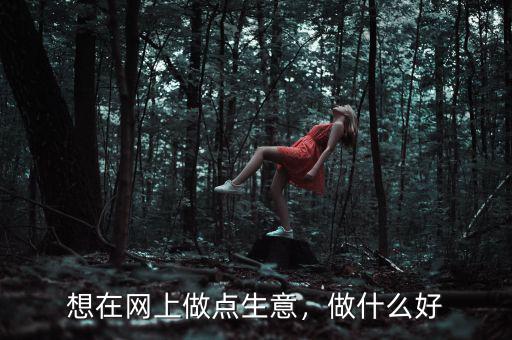 想在網上做點生意，做什么好