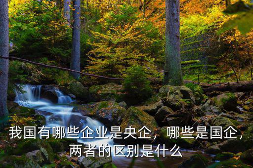 我國有哪些企業(yè)是央企，哪些是國企，兩者的區(qū)別是什么