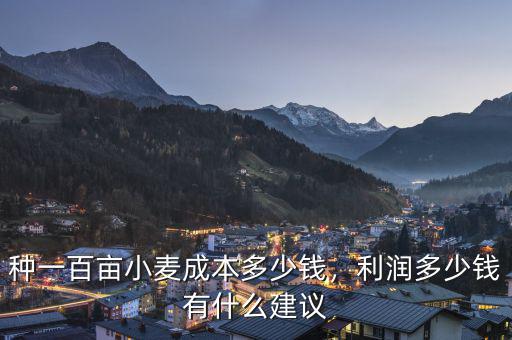 種一百畝小麥成本多少錢，利潤(rùn)多少錢有什么建議