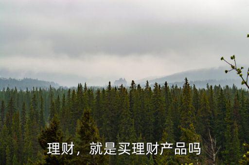 為什么要買(mǎi)理財(cái)產(chǎn)品,就是買(mǎi)理財(cái)產(chǎn)品嗎