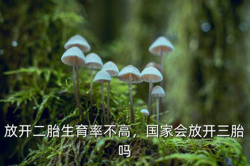 放開二胎生育率不高，國(guó)家會(huì)放開三胎嗎