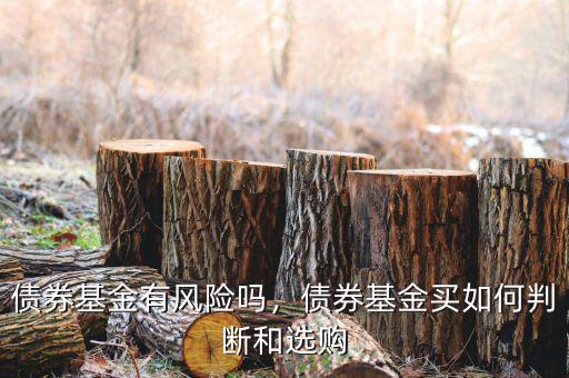 債券基金有風(fēng)險(xiǎn)嗎，債券基金買如何判斷和選購
