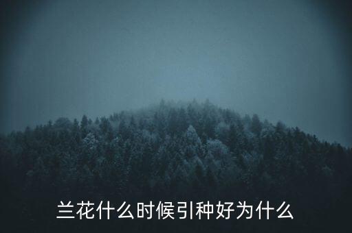 蘭花什么時候引種好為什么