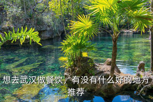 想去武漢做餐飲，有沒有什么好的地方推薦