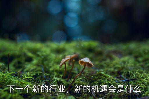 下一個新的行業(yè)，新的機遇會是什么