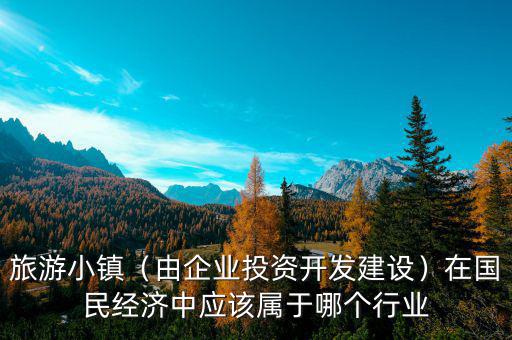 旅游小鎮(zhèn)（由企業(yè)投資開發(fā)建設(shè)）在國民經(jīng)濟(jì)中應(yīng)該屬于哪個(gè)行業(yè)