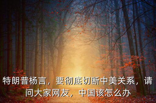 特朗普楊言，要徹底切斷中美關(guān)系，請問大家網(wǎng)友，中國該怎么辦