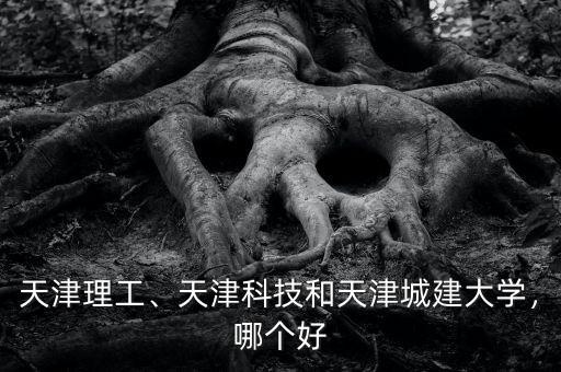 天津理工、天津科技和天津城建大學，哪個好