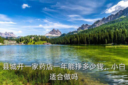 縣城開一家藥店一年能掙多少錢，小白適合做嗎