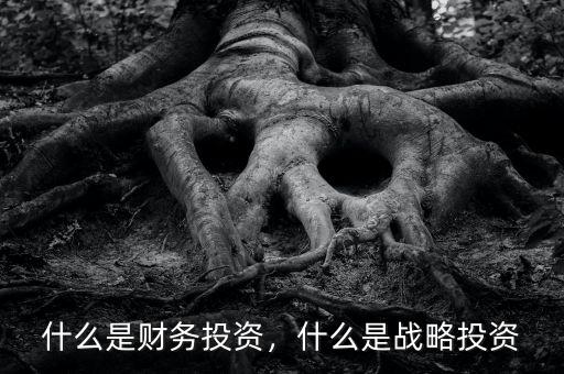 什么是財(cái)務(wù)投資，什么是戰(zhàn)略投資