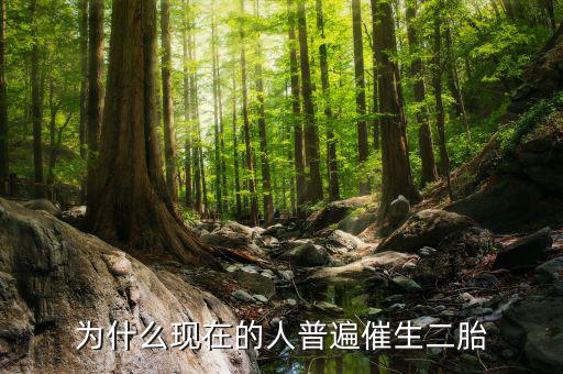 為什么要鼓勵(lì)生二胎,現(xiàn)在國家鼓勵(lì)生二胎