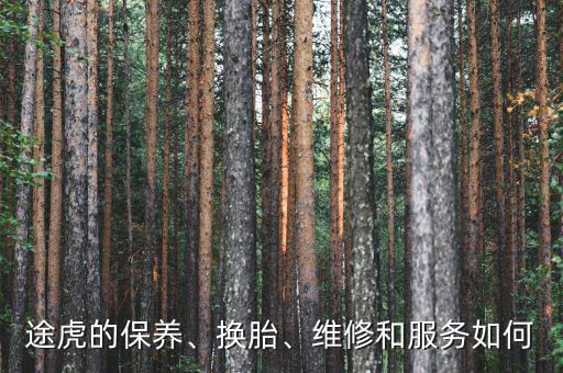 途虎的保養(yǎng)、換胎、維修和服務(wù)如何