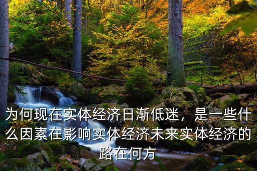 為何現(xiàn)在實(shí)體經(jīng)濟(jì)日漸低迷，是一些什么因素在影響實(shí)體經(jīng)濟(jì)未來實(shí)體經(jīng)濟(jì)的路在何方