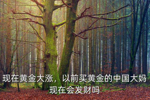 現(xiàn)在黃金大漲，以前買黃金的中國(guó)大媽現(xiàn)在會(huì)發(fā)財(cái)嗎