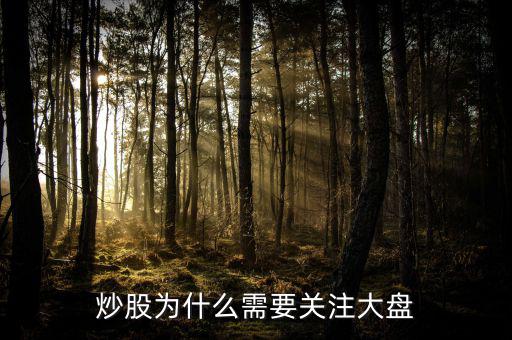 炒股為什么需要關注大盤