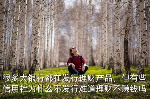 很多大銀行都在發(fā)行理財(cái)產(chǎn)品，但有些信用社為什么不發(fā)行難道理財(cái)不賺錢(qián)嗎