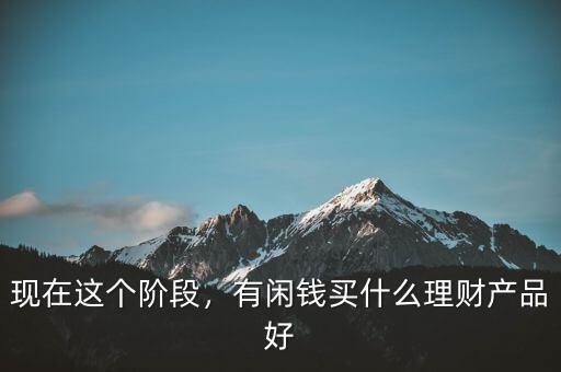 現(xiàn)在這個階段，有閑錢買什么理財產(chǎn)品好