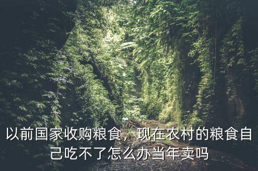 以前國家收購糧食，現(xiàn)在農(nóng)村的糧食自己吃不了怎么辦當(dāng)年賣嗎